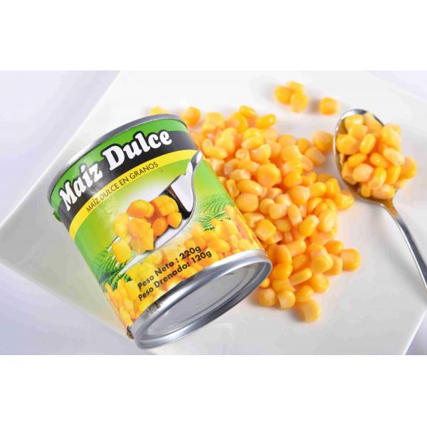 Quality Juiciest Canned Corn Kernels Rich In Protein No Add Any Artificial Colors for sale