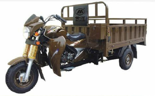 Quality Shaft Drive Motorized 3 Wheel Cargo Motorcycle with Steel Frame and Car Axle for sale