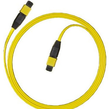 Quality MPO MTP Fiber Optic Patchcord Fiber Jumper Cables MPO Or MTP for sale