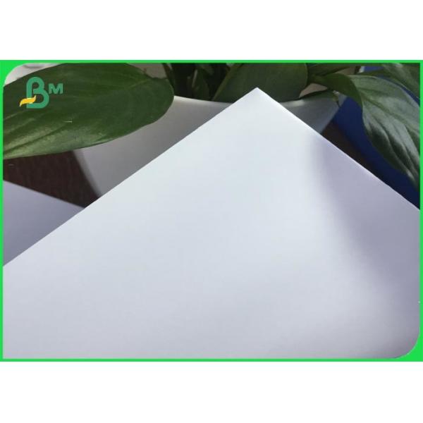 Quality 50g 60g 70g 80g Offset Printing Paper , A4 Size White Paper Roll For School Exercise Book for sale