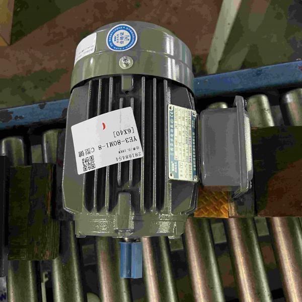 Quality Variable Speed Medium Voltage Induction Motor Three Phase JIS for sale