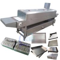 China Separate tray machine Fish and shrimp frozen tray isolated in seafood processing factory factory