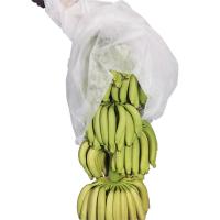 China Breathable Spun Bond Non Woven Banana Bunch Cover In White Color factory