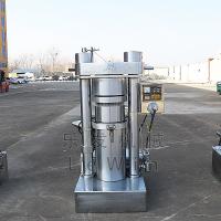 China 6YY-250 Olive Hydraulic Oil Press Machine Hydraulic Cold Press factory