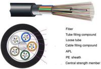 China Outdoor armoured Singlemode Fiber Optic Cable 12 core optical fiber cable for network factory