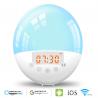 China Amazon Alex Google Assistant Home Sunrise Alarm Clock / Sun Lamp Alarm Clock factory