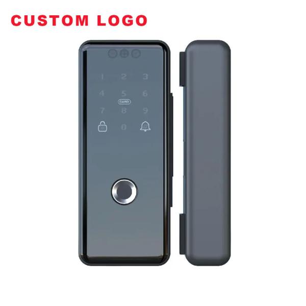 Quality Punchfree Biometric Office Door Lock Smart Fingerprint 3D Face Recognition Door for sale