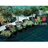 China Black Polypropylene Weed Barrier Cover 90gsm Garden Membrane Ground Cover factory