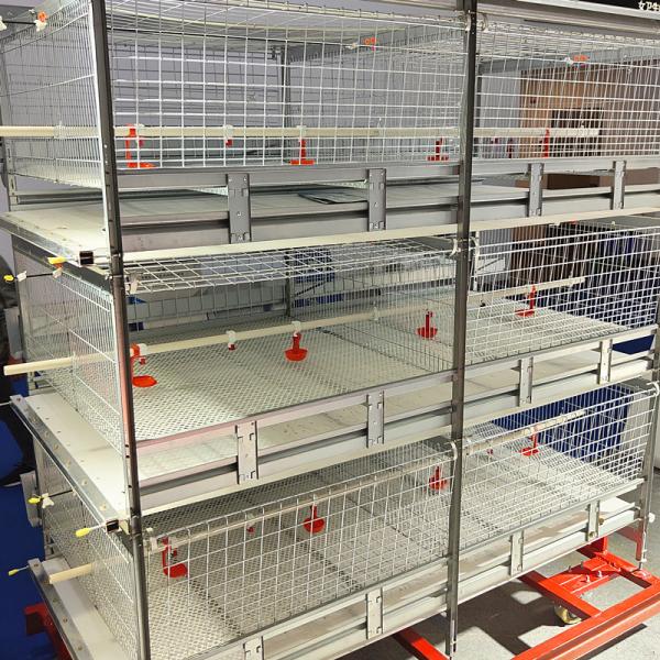 Quality Modern Farm 150 / 200 Birds Broiler Chicken Cage Q235A Steel Wire Material for sale