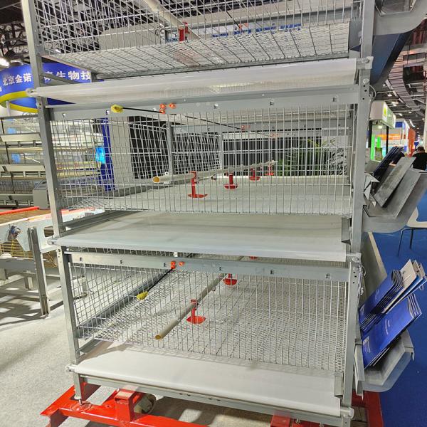 Quality Modern Poultry Battery Cage , SGS 3/4 Floors 150 Broiler Chicken Farming Equipment for sale