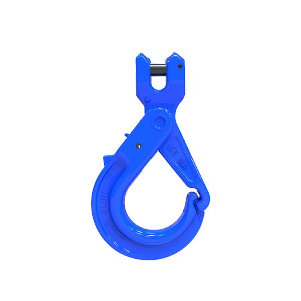 Quality SLR1017-G100 SPECIAL EYE SELFLOCKING HOOK for sale