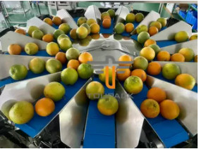 Quality TOUPACK 14 Head 5.0L Weigh Filler Packaging Machine , Vegetable Packaging for sale