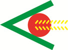 China Sichuan Liqiang Technology Co.,Ltd logo