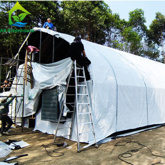 Quality 1m-12m Width Greenhouse Plastic Film for sale