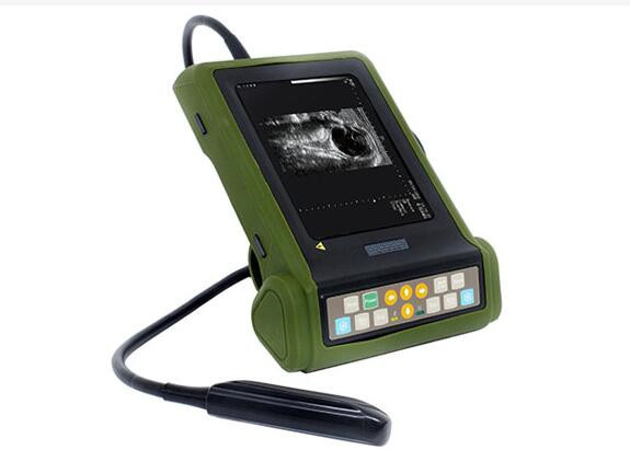 Quality Mini Ultrasound Machine Veterinary Ultrasound Scanner With 6.5MHz Linear Rectal Probe OB Report Available for sale