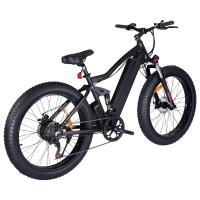 Quality 500W 48V 12AH Carbon Fiber Electric Mountain Bike Lithium Battery powered for sale