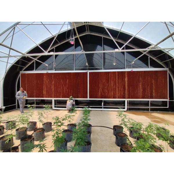 Quality Customized Cannabis Light Dep Solutions Electric Film Roller Blackout Greenhouse for sale