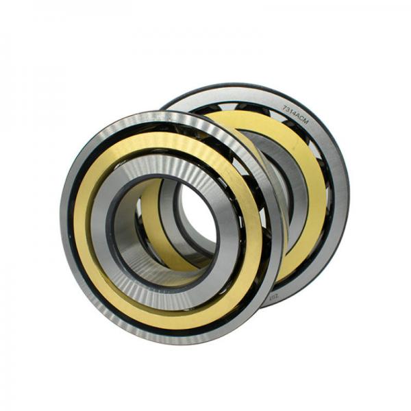 Quality Axial Loads Double Agricultural Bearing Chrome Steel Fixed End Bearings for sale