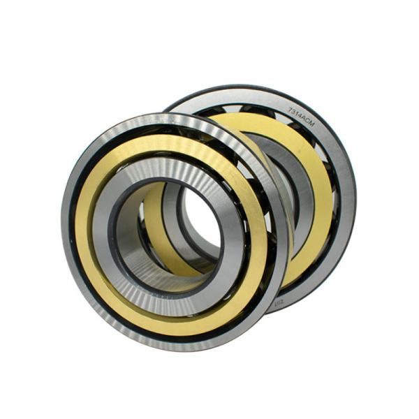 Quality Axial Loads Double Agricultural Bearing Chrome Steel Fixed End Bearings for sale