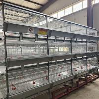 China U Shaped Galvanized Broiler Poultry Farming Equipment 60-192 Birds Capacity factory