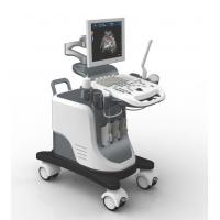 China Full Digital Trolley 4D Echo Ultrasound Machine For Gynecology factory