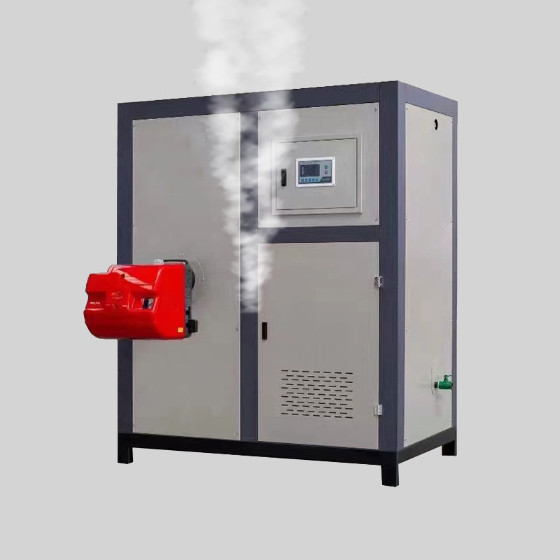 China Gas Light Kerosene Heating Steam Boiler 100-500kg Biomass Particles Steam Generator Vegetable Dehydration Drying factory