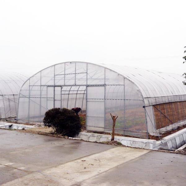 Quality Strong Tunnel Plastic Film Greenhouse Polyethylene Covering With Irrigation for sale