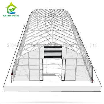 Quality Agricultural Hydroponic Single Span Greenhouse For Mushroom Cultivation for sale