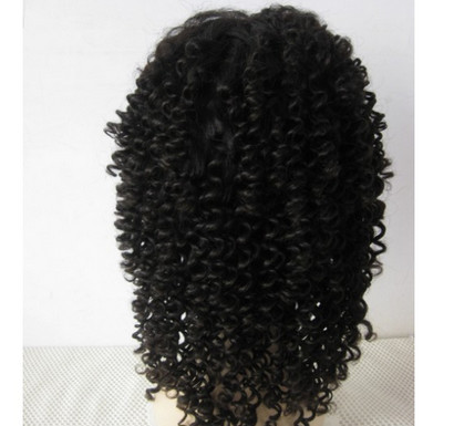 Quality Popular 20 Inch Kinky Curly Full Lace Human Hair Wigs Bouncy And Soft for sale