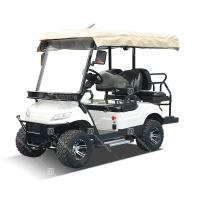 Quality 3.5-6 KW EV Golf Buggies Customization Color With Lithium Battery And Off-Road for sale