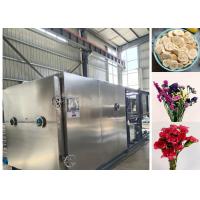 China Remote Control Food Vacuum Freeze Dryer Machine For Various Application factory
