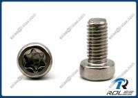 China 18-8/304/316 Stainless Steel Torx Socket Head Cap Screw factory