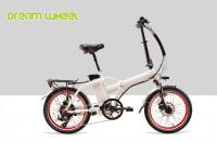 China Adult Electric Folding Bike 250W 36V , 20 Inch Collapsible Electric Bike factory