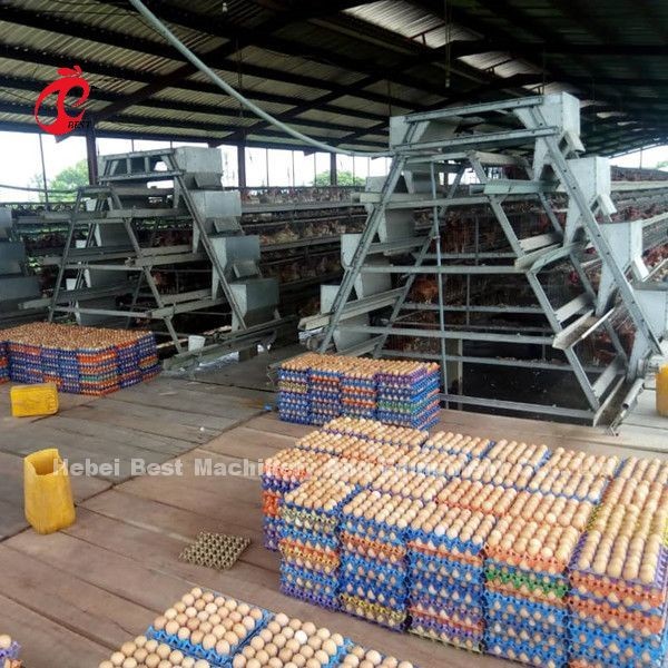Quality Turnkey Project Automatic Poultry Battery Cage System 3 Tiers 450cm2 Star for sale