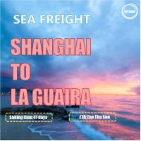 China YML OOCL Liner International Sea Freight From Shanghai To La Guaira Venezuala factory