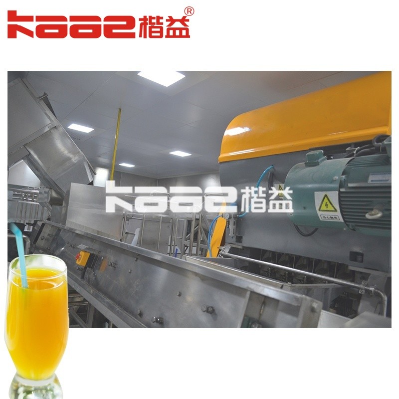 China Complete Fresh Fruit NFC Juice Processing Line Drink Making Equipment Automated factory