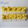 China Standard Rubber Teeth Mould Dental Teaching Model , Study Models In Dentistry factory