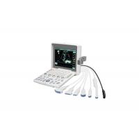 China Portable Color Ultrasound Doppler Ultrasound Scanner With 12.1 Inch LED Monitor factory