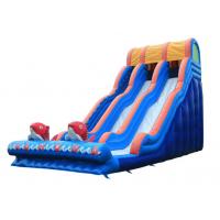 China Large Inflatable Slide Inflatable Water Slide  Party Slide For Kids and Adults for sale
