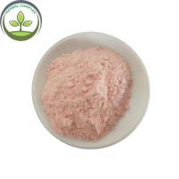 China watermelon juice spry powder buy best organic watermelon powder  health benefits superfood  factory