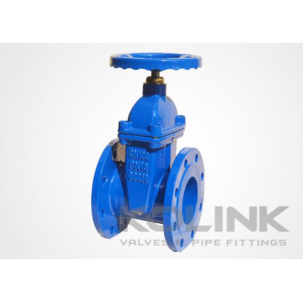 Quality Cast Iron Resilient Seated Gate Valve Encapsulated Disc Non-rising Stem for sale