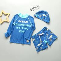 China Split Blue Big Boy Swimwear Sets Shark Conservative Boy 3pcs Swimsuit Carton Print factory
