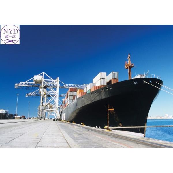 Quality Reliable DDU International Sea Freight Shipping RORO With Optional Insurance for sale