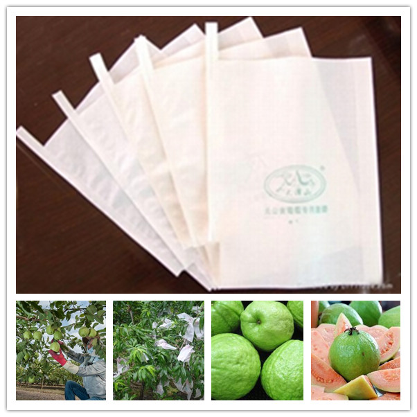 China GUAVA BAG,pomegranate bag/Fruit growing packing bags,protective bag skype yu.zhang 951 factory