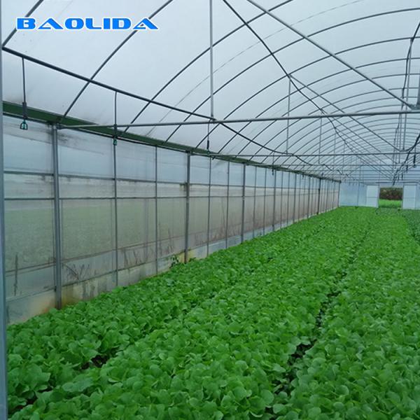Quality Agricultural Plastic Film Greenhouse Large Size High Latitude Area Ecological for sale