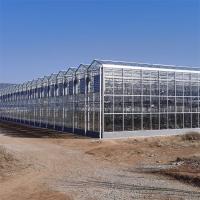 China Insulated Tempered Glass Greenhouse Sunlight Venlo Greenhouse For Horticulture factory