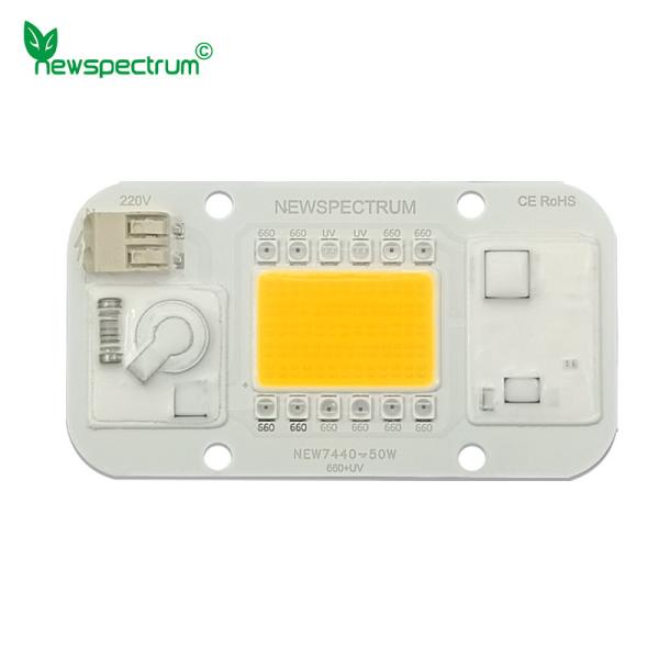 Quality 50HZ COB Led Chip for sale