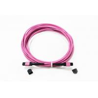 Quality 12 Fiber MPO Female Connector Patch Cord OM4 50/125um Elite Loss 0.35dB Purple for sale