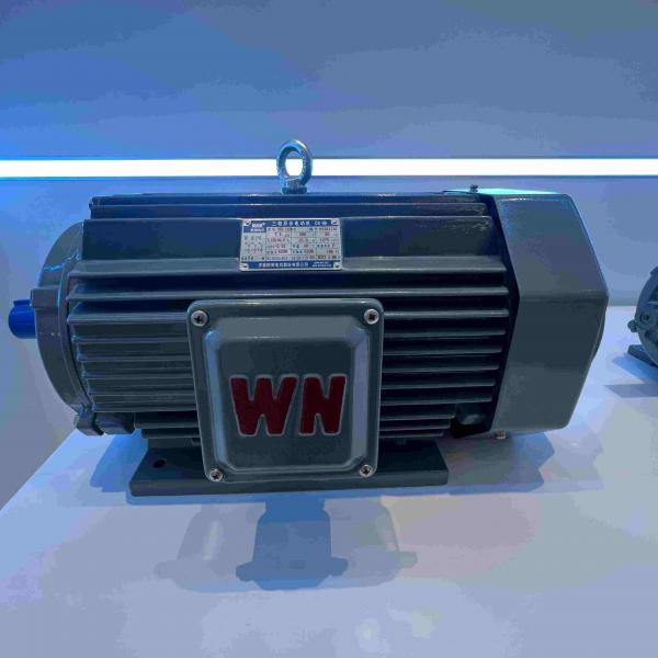 Quality Large Cast Iron Waterproof Electric Motor Medium Voltage for sale