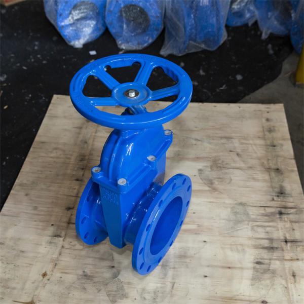 Quality Copper Wire Elastic Seat Gate Valve Wastewater F4 PN10 GGG50 Flange Ends for sale